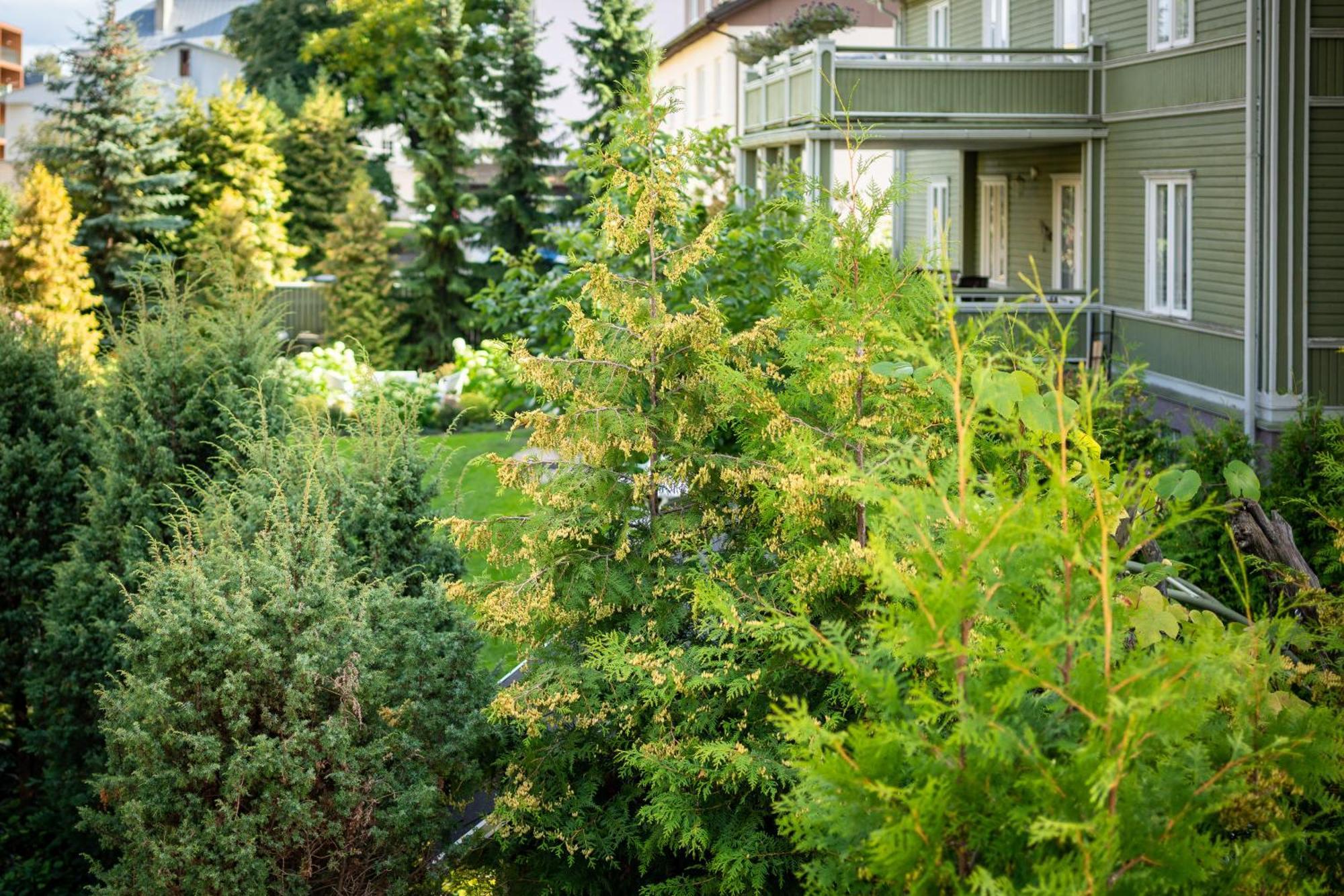 Campingplads Garden