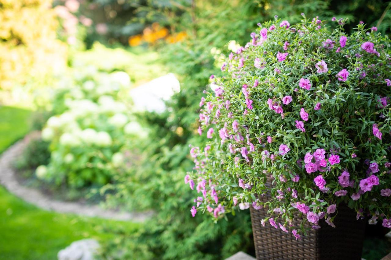 Garden Campingplads Tallinn